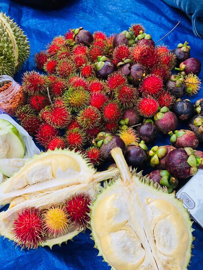 Vườn trái cây dì 2 - Vườn trái cây sai trĩu quả tại Đồng Nai