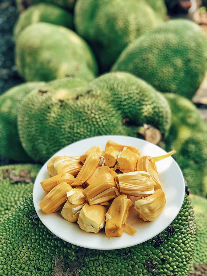 Vườn trái cây dì 2 - Vườn trái cây sai trĩu quả tại Đồng Nai