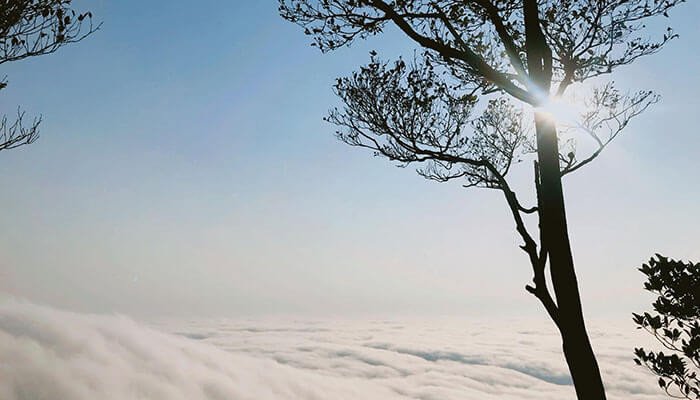 Vườn quốc gia Ba Vì - Một địa điểm du lịch ngay gần thủ đô Hà Nội