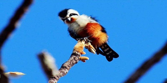 Vườn quốc gia Yok Don – Một ngày cực ý nghĩa tại Bản Đôn