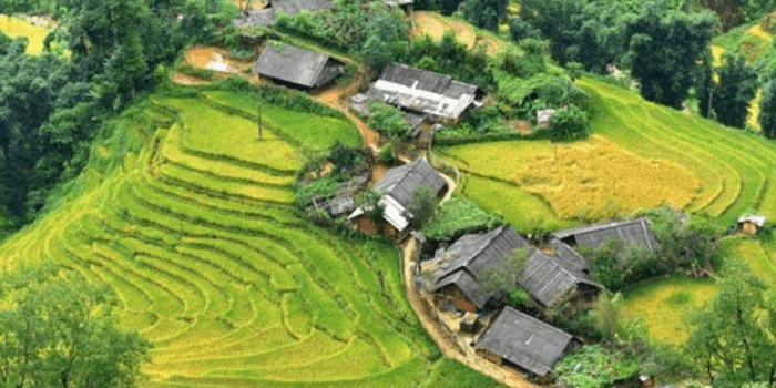 Review Y Tý 3 ngày 2 đêm cực chi tiết