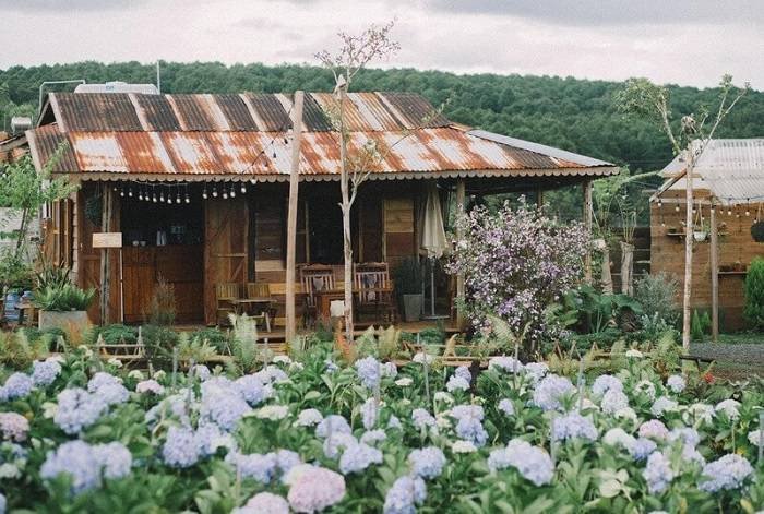 YÊN Coffee – Đà Lạt giữa lòng Pleiku